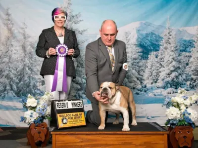 Sourmug Bulldogs