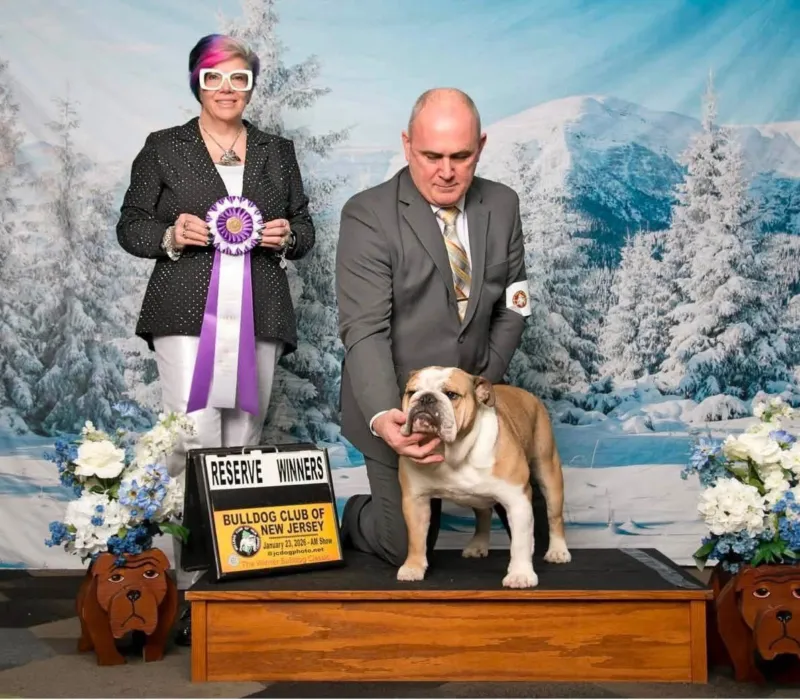 Sourmug Bulldogs